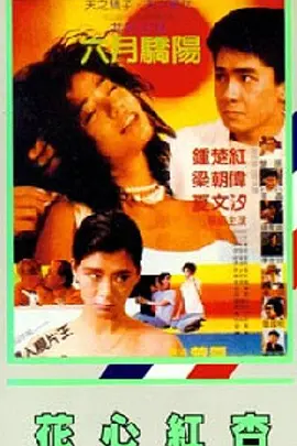 妻子的强迫症