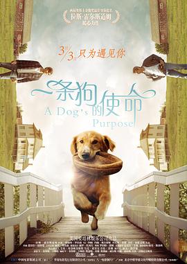 香港免费毛片