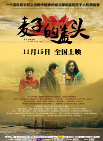 天天操穴