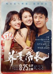 彩虹男孩夜里必备视频