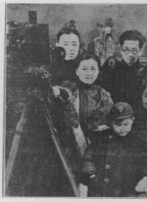 全免费观看一级