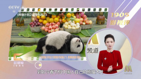 国产精品女上位好爽在线观看